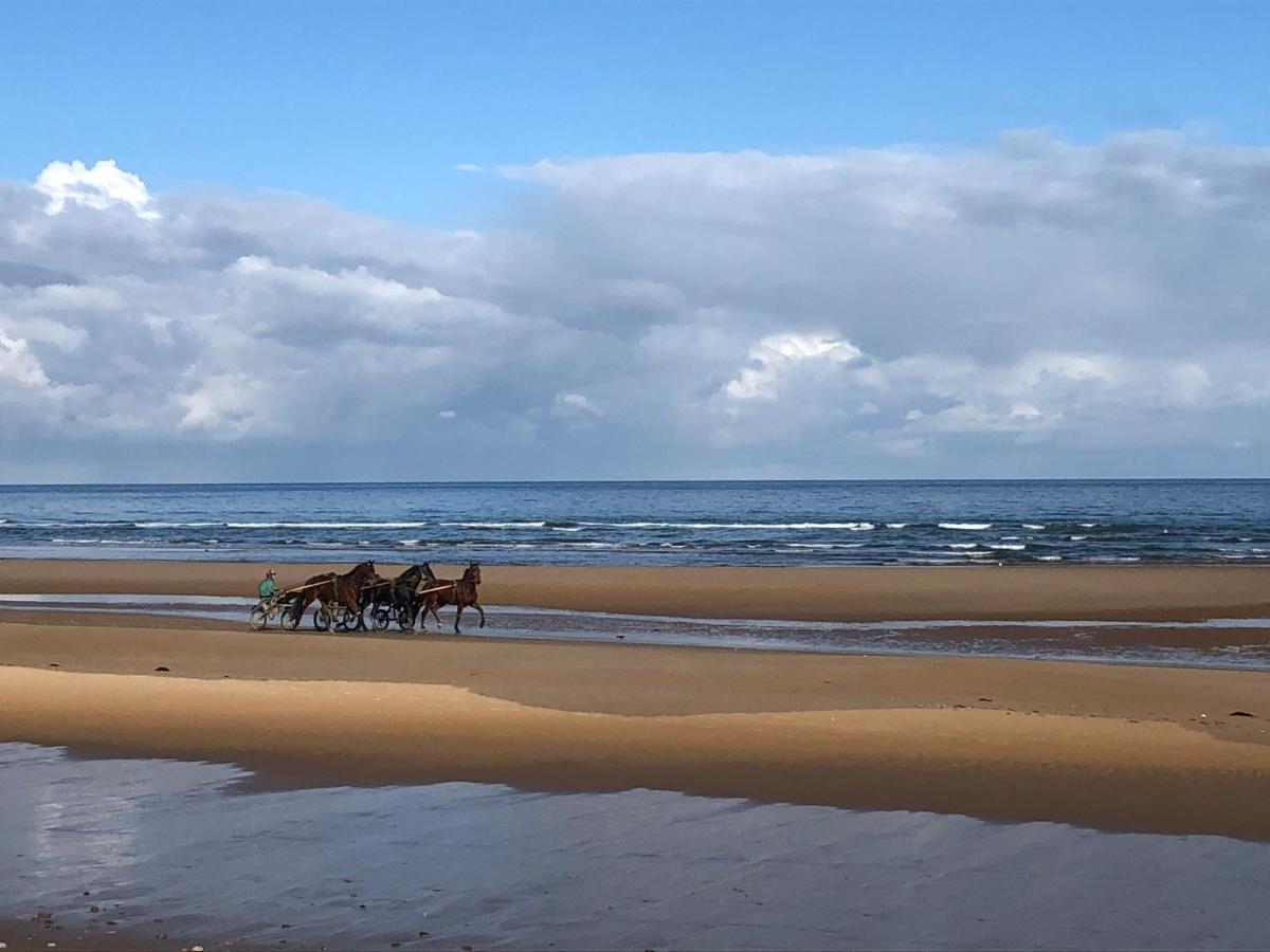 Maison Proche Omaha Beach Vue Imprenable Sur Haras Etreham Exteriér fotografie